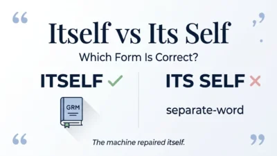 Itself vs Its Self